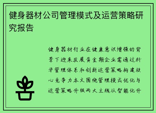 健身器材公司管理模式及运营策略研究报告